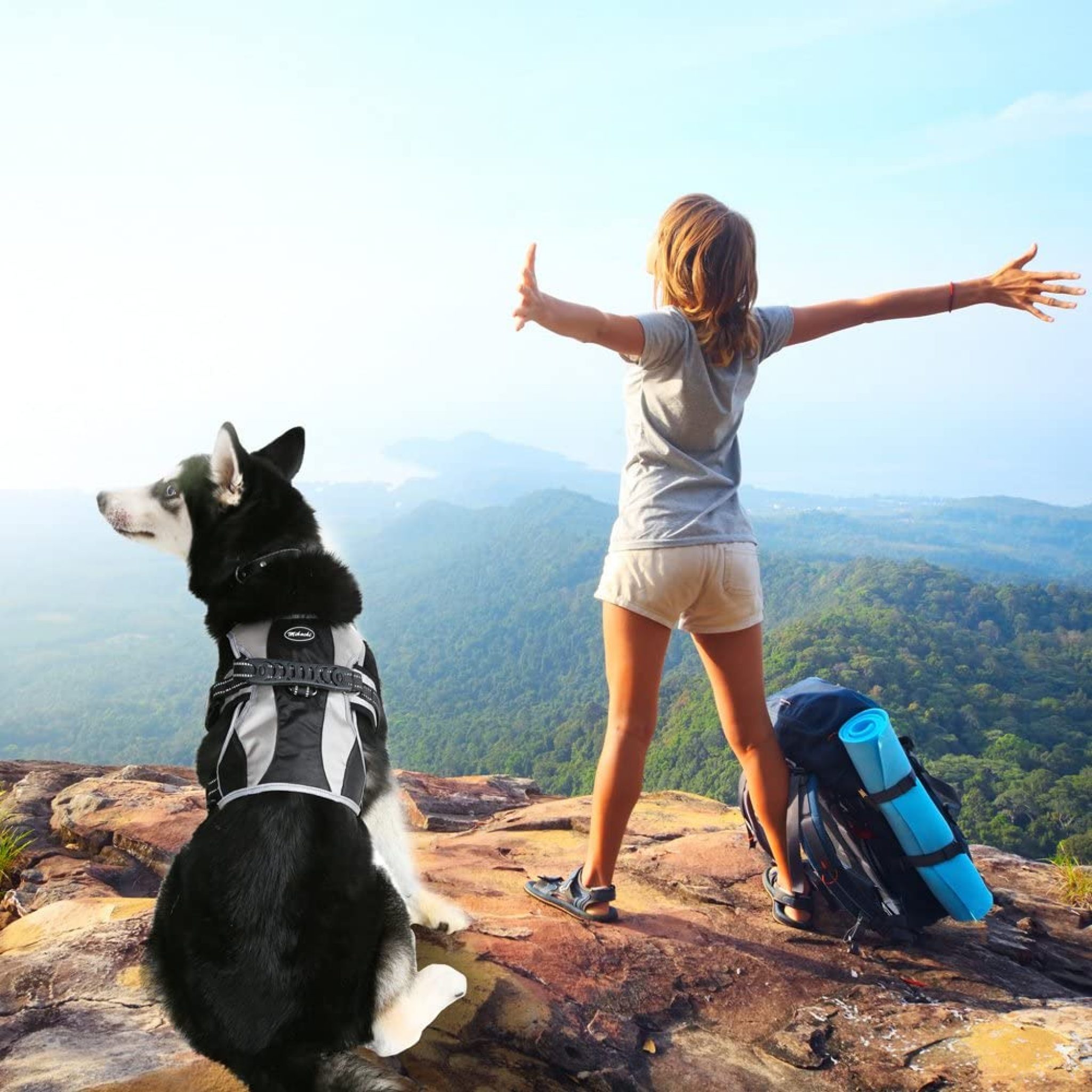 Best Escape Proof Dog Harness [2022] Top No Escape Dog Harnesses