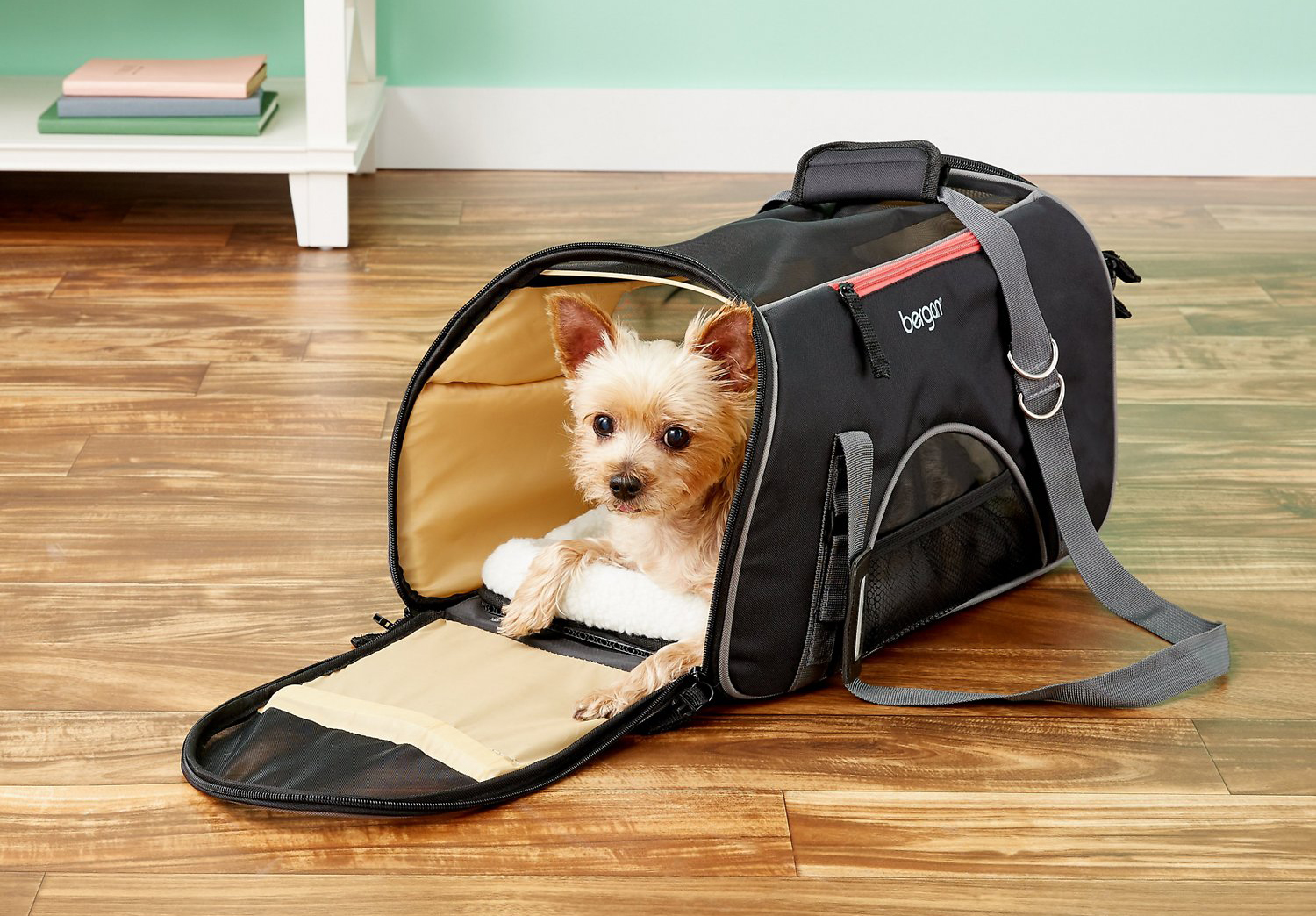 united airlines pet travel carrier dimensions