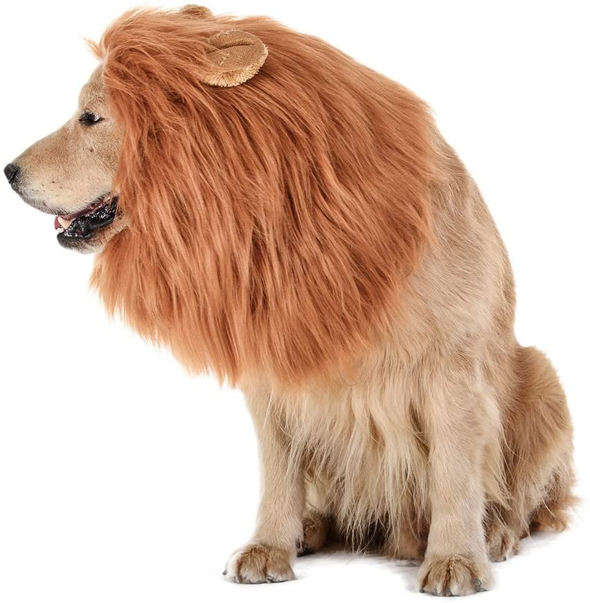 Tomsenn Dog Lion Mane
