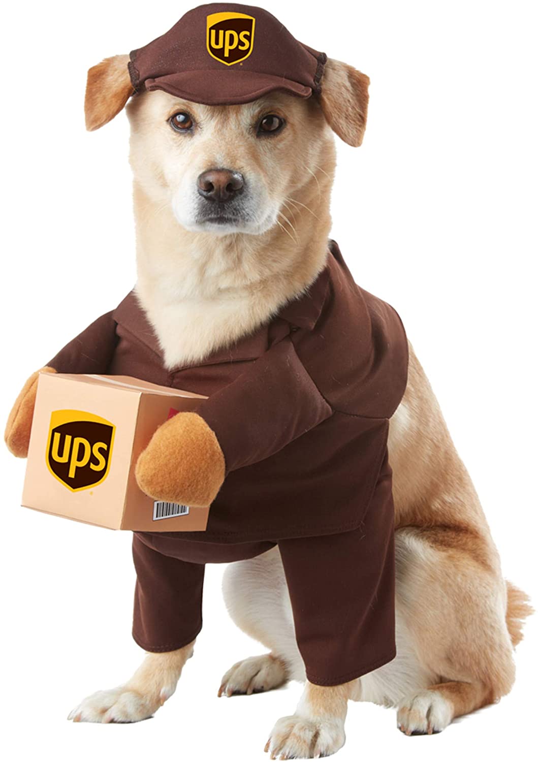Brown Ups Pal Dog Costume