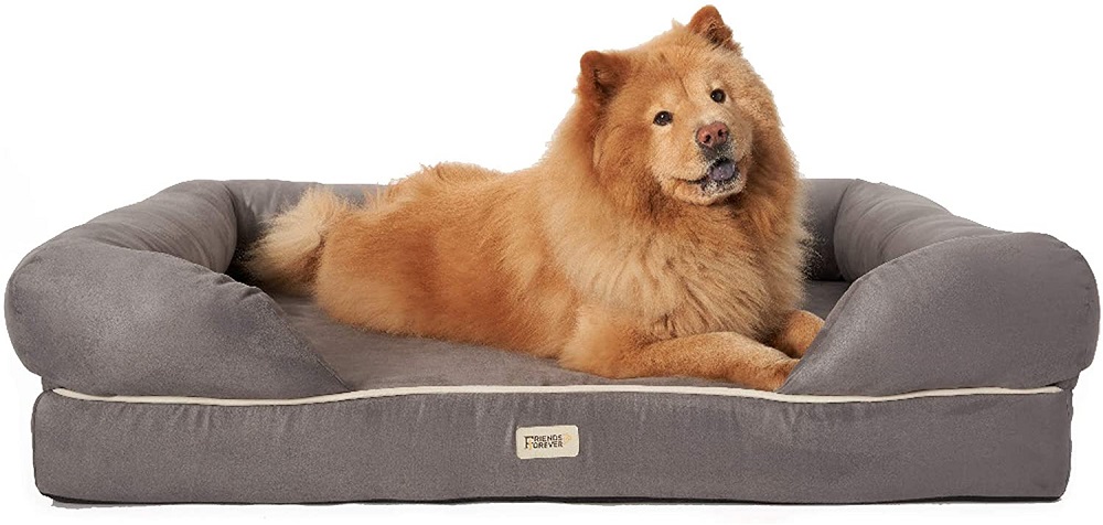 Friends Forever Orthopedic Dog Bed Lounge