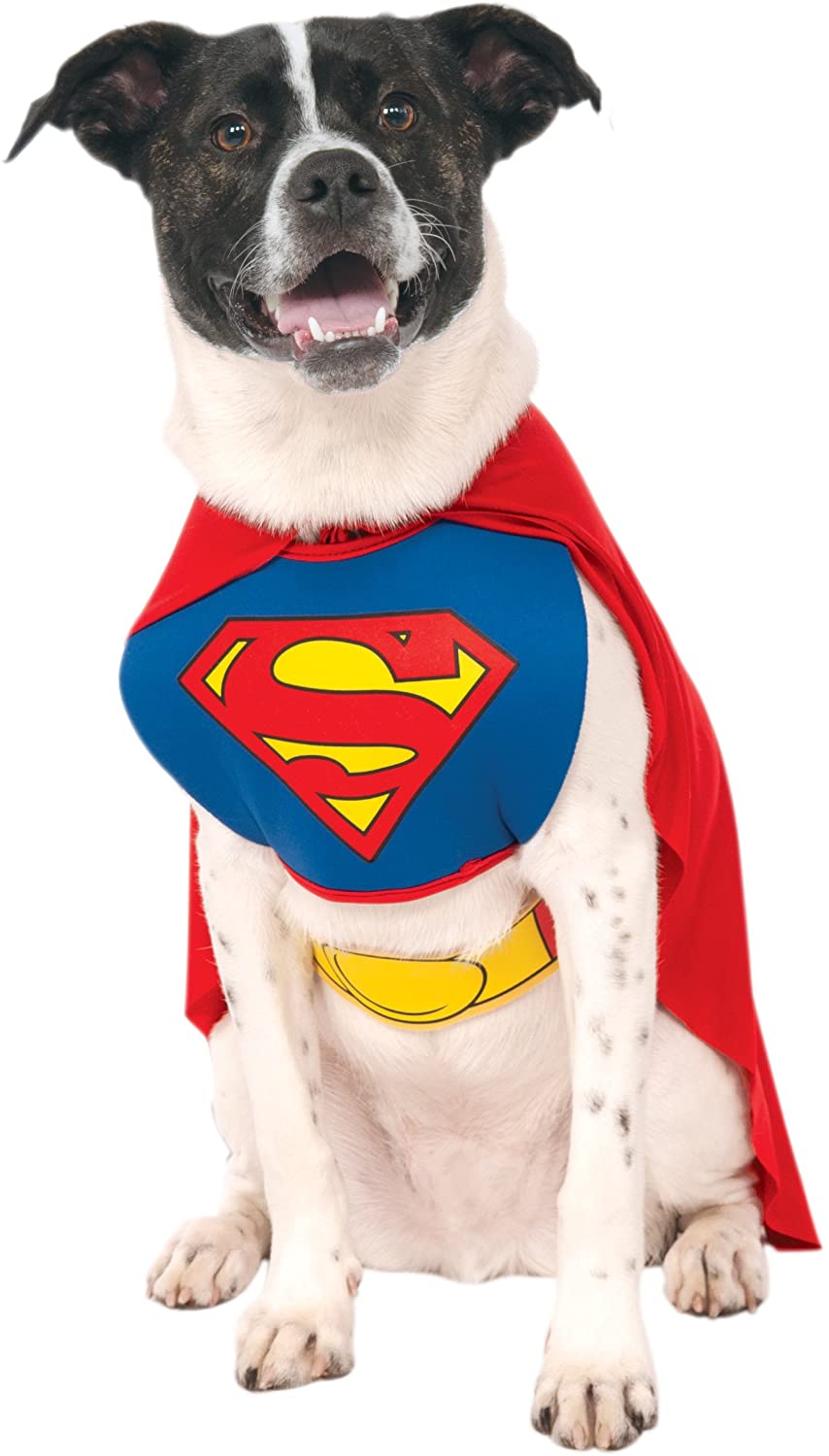 Superman Pet Costume