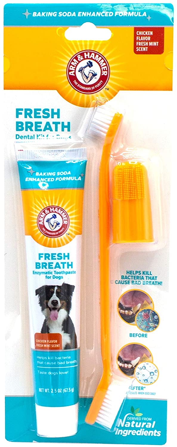 Arm & Hammer Dog Dental Care Fresh Breath Kit for Dogs