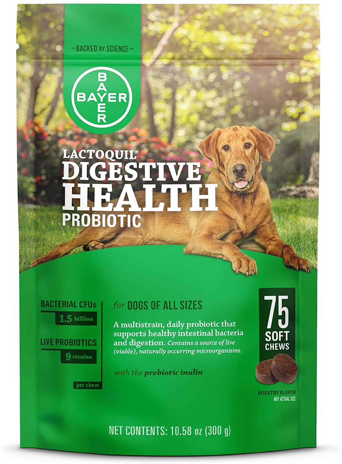 Lactoquil Soft Chews Digestive Health Probiotic Supplement for Dogs