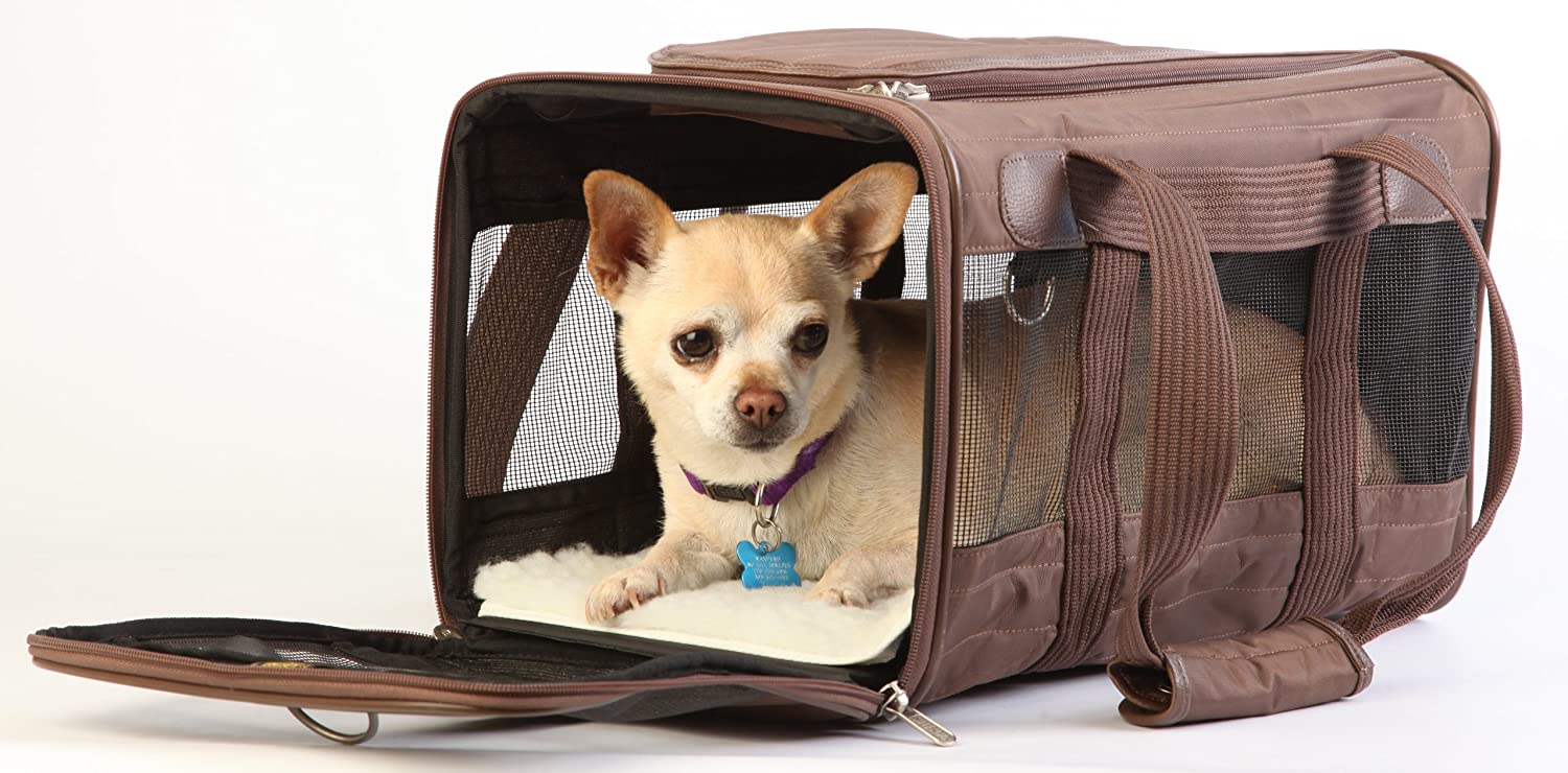 PetLuv Premium Carrier