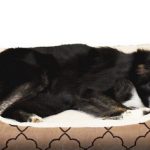 Best Chew Proof Dog Bed