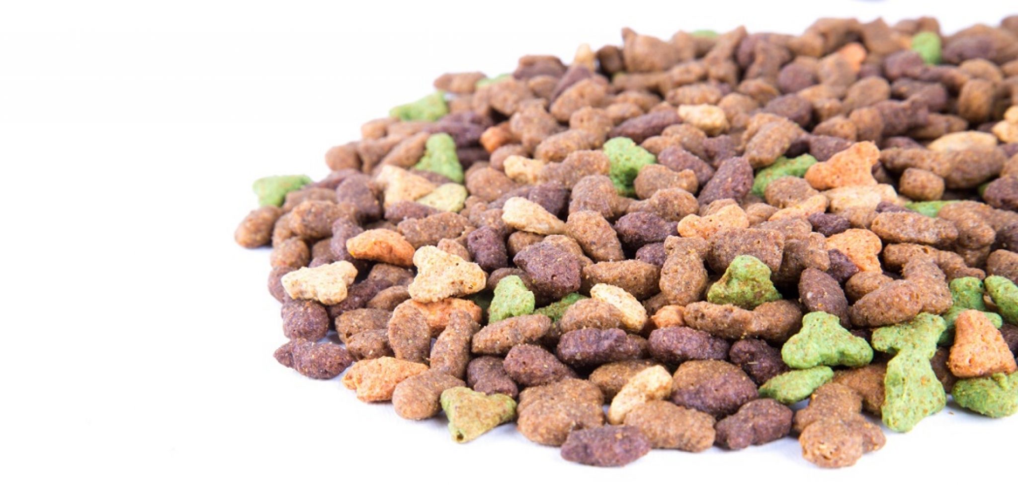 Best Dog Food for Cavalier King Charles Spaniel [2022 Review] Top Guide