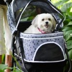 Best Dog Stroller