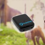 Best GPS Dog Tracker