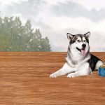 Best Organic Dog Food (Natural)