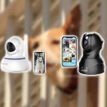 Best Dog Monitor Cameras