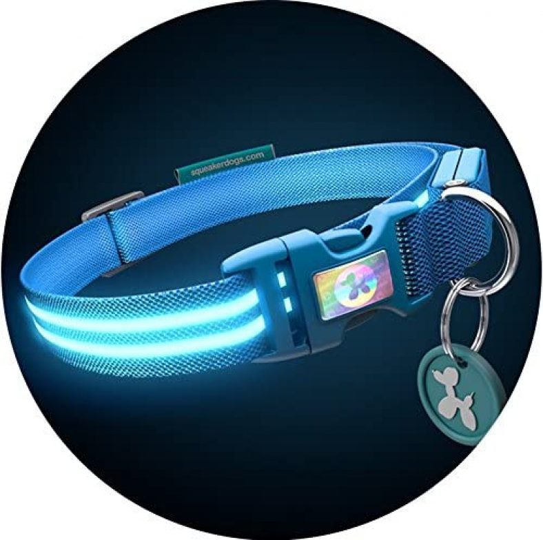 Best Glow in the Dark Dog Collar [2022] Top Rechargeable Led Dogs Collar