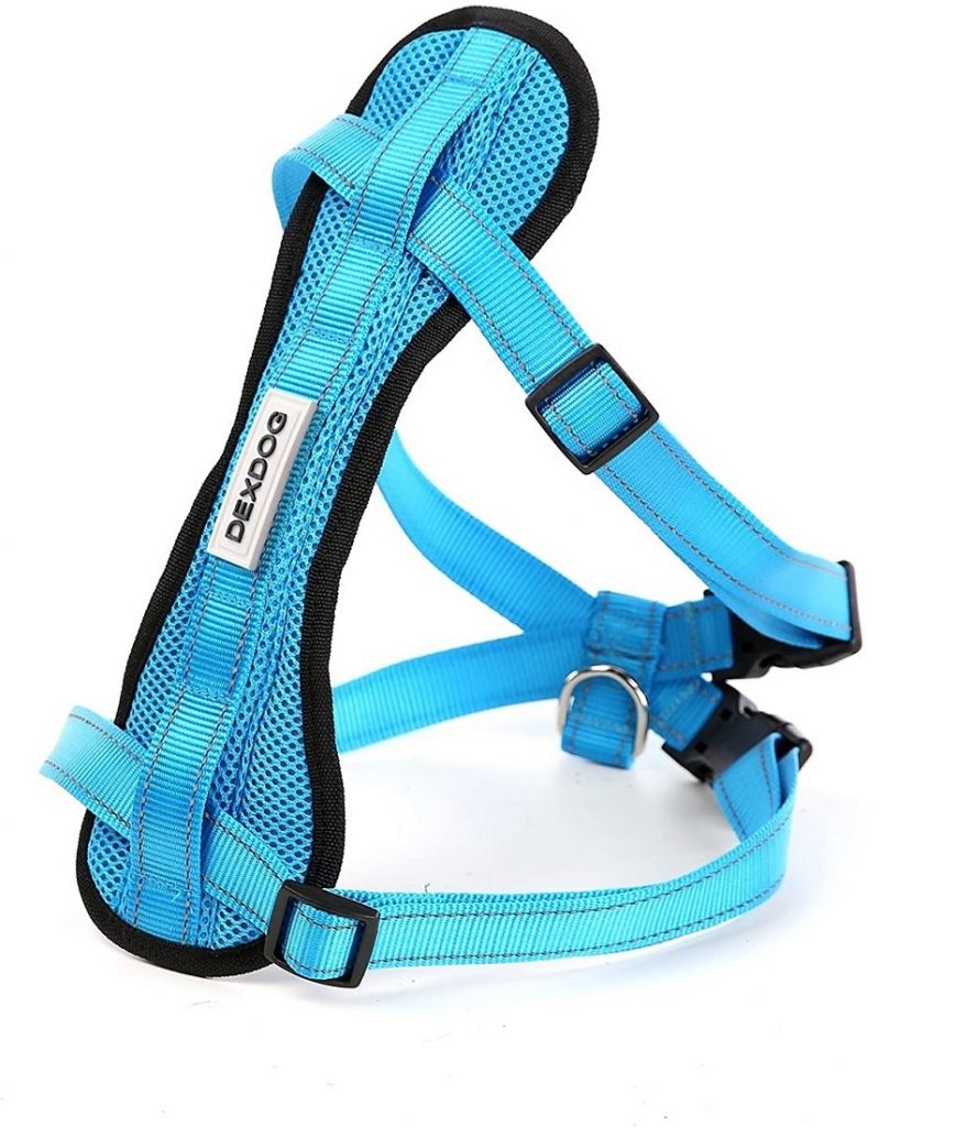 Best Dog Car Harness [2022] Top Kurgo Cars Harness [Review]