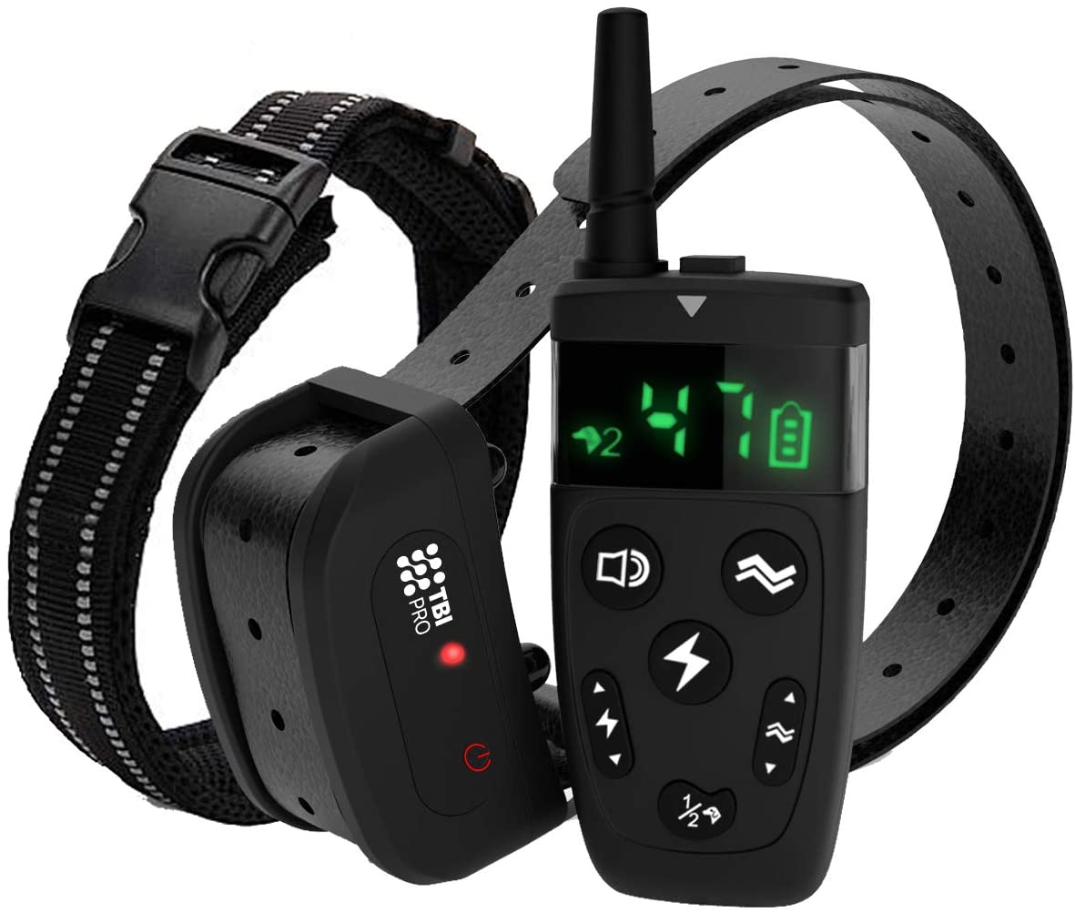 TBI Pro Dog Training Collar