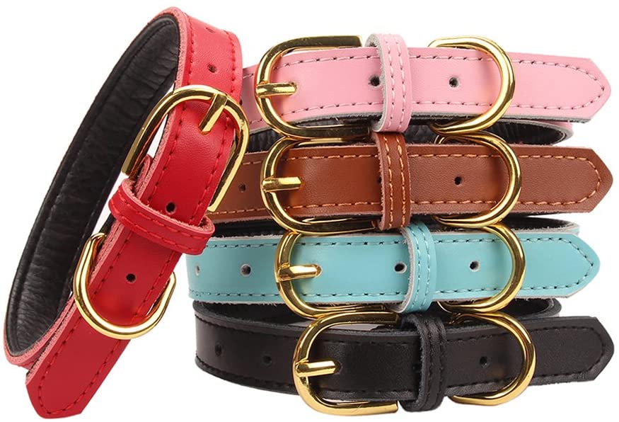 AOLOVE Basic Classic Padded Leather Pet Collars for Cats Puppy Small Medium Dogs