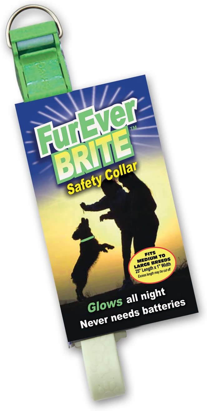 Davis FurEver Brite Glow in The Dark Pet Safety Collar