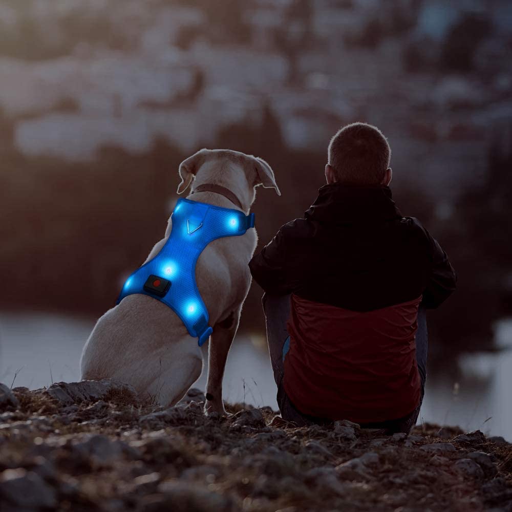 Domi LED Dog Harness