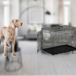 Best Dog Crate Cover