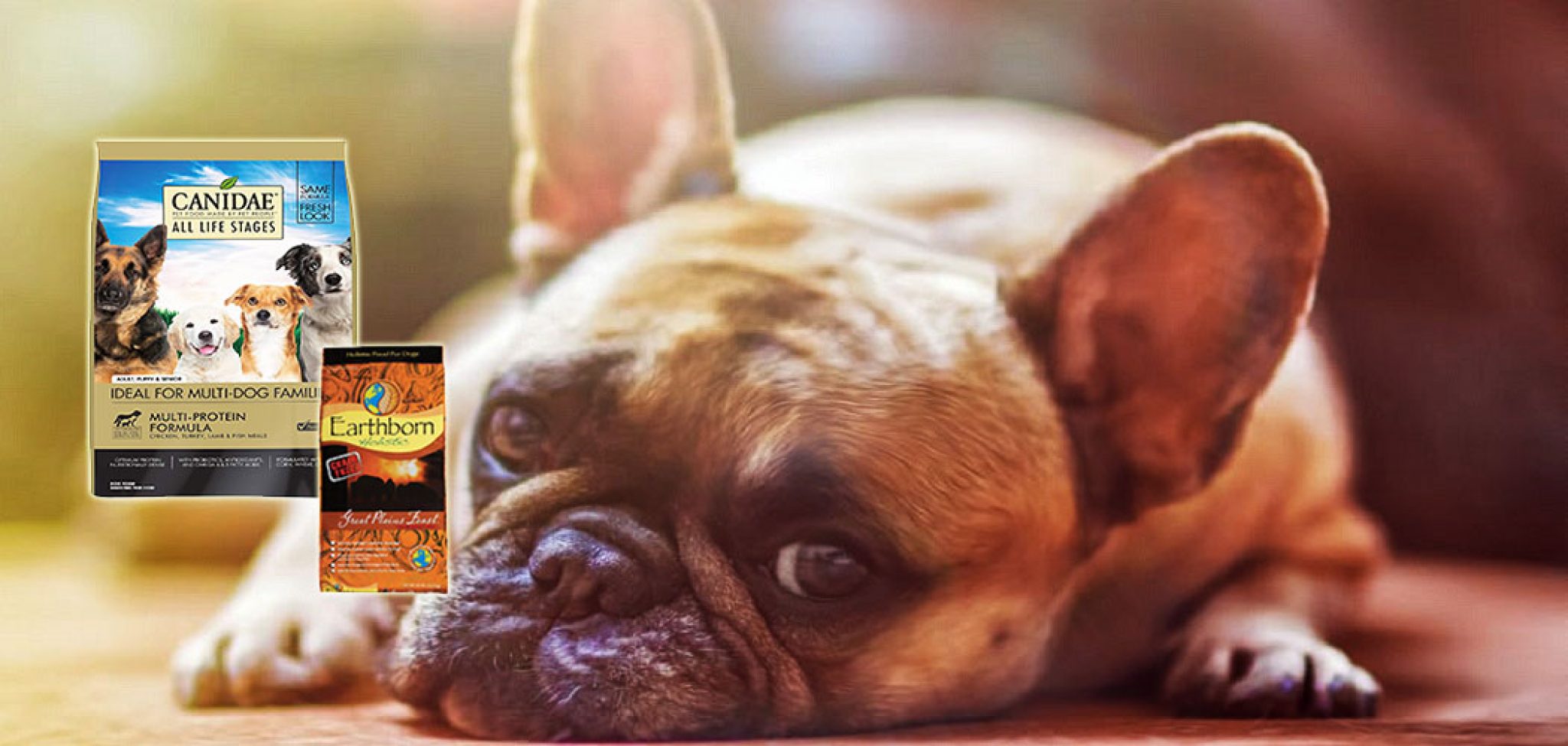 Best Dog Food for Bulldogs (English & French) [2022] Top English