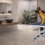 Best Dog Grooming Table
