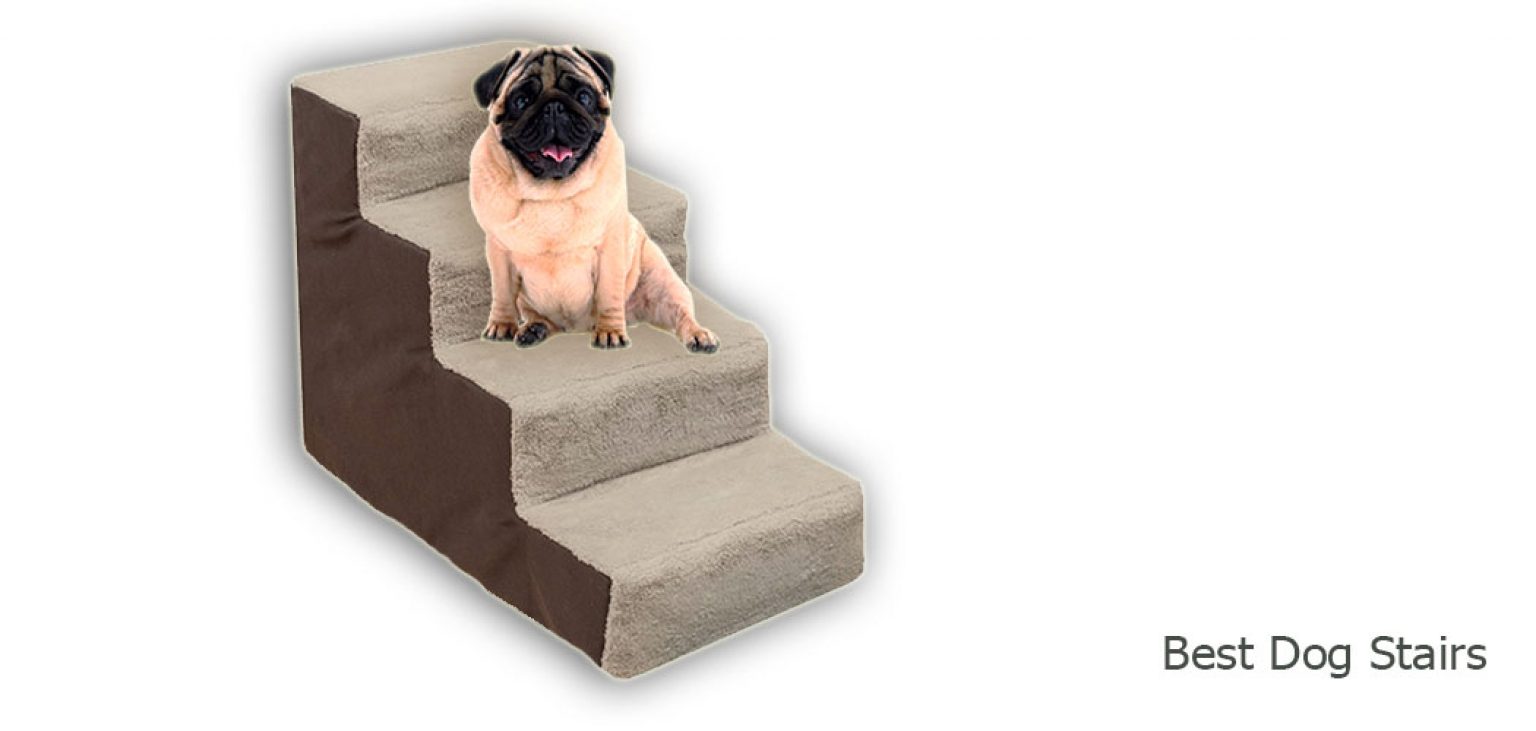 Best Dog Stairs (Steps) [2022] Top Steps for Dogs [Review]