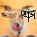 Best Elevated Dog Bowls