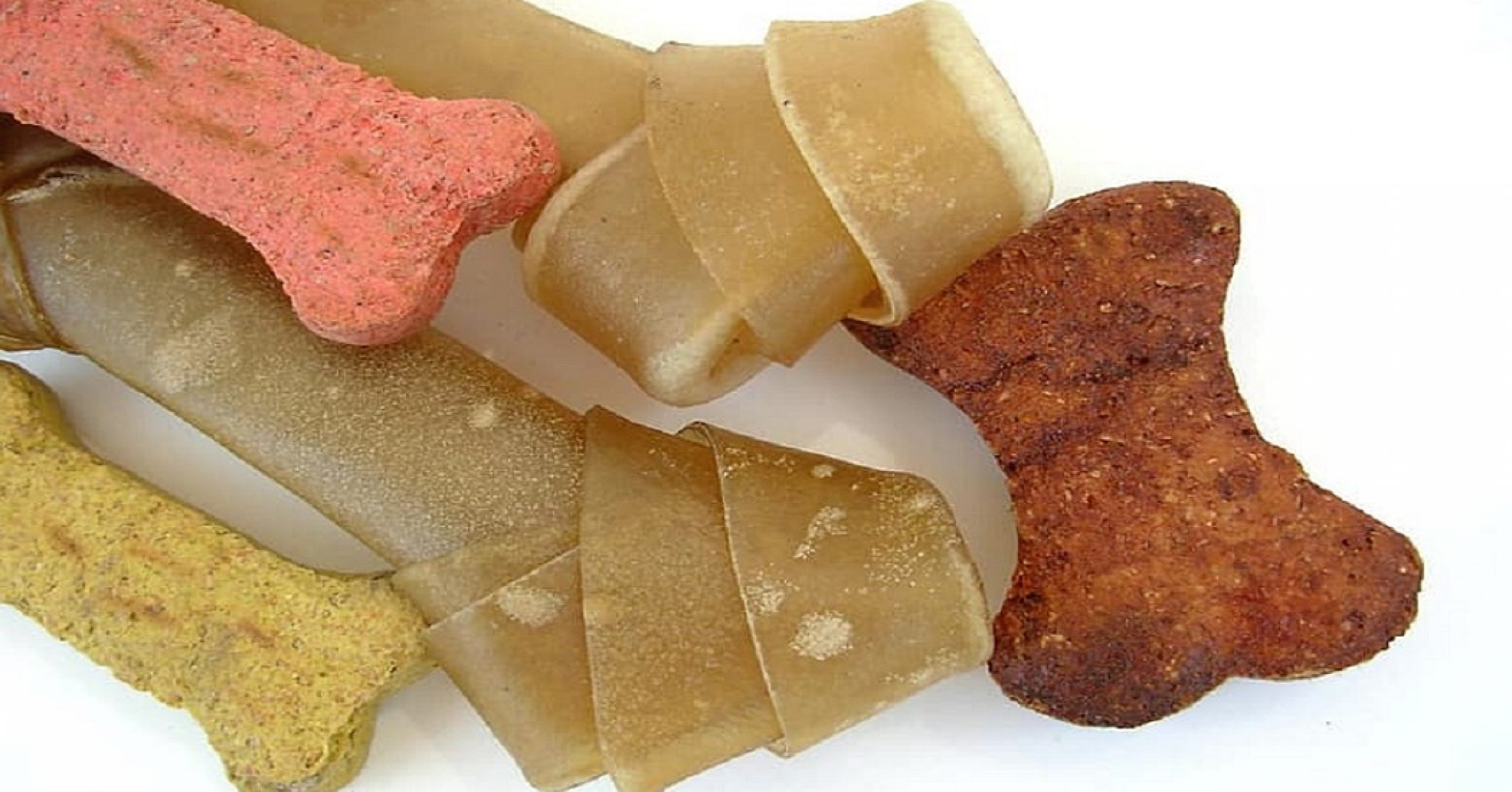 Best Raw Dog Food [2022] Top Premade Raw Foods Brands [Review]