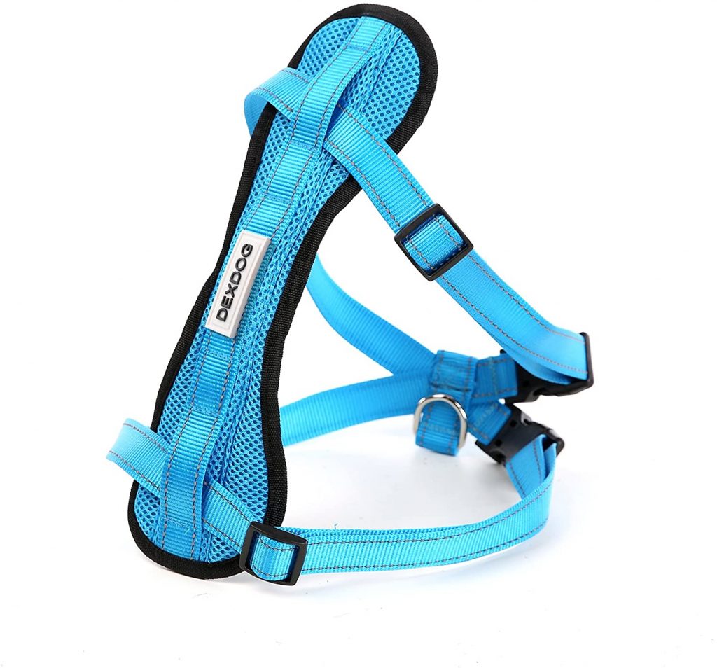 Best Dog Car Harness [2022] Top Kurgo Cars Harness [Review]