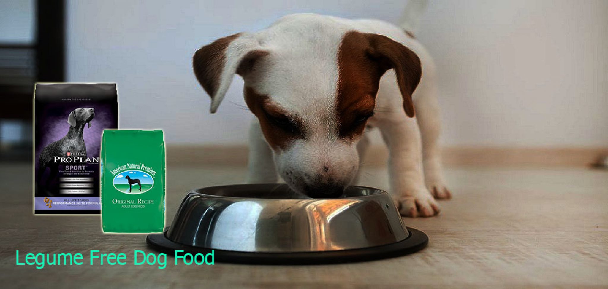 Legume Free Dog Food (Pea) [2024] Top Dog Foods Without Peas