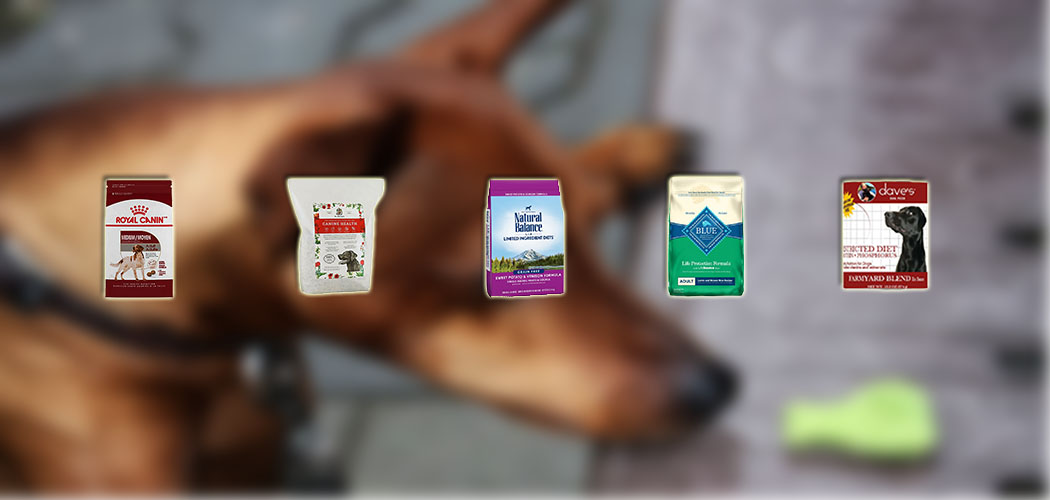 non prescription low phosphorus dog food