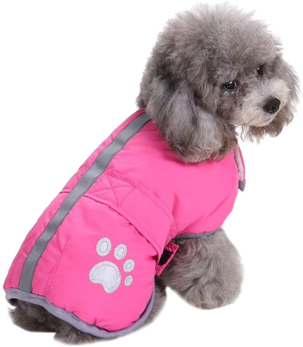 Queenmore Cold Weather Dog Coats