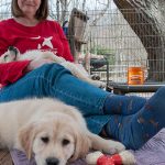 Best Glucosamine for Dogs