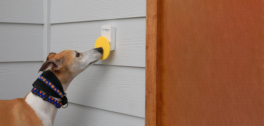 Best Dog Doorbell [2022] Top Dog Bells for Training [Review]