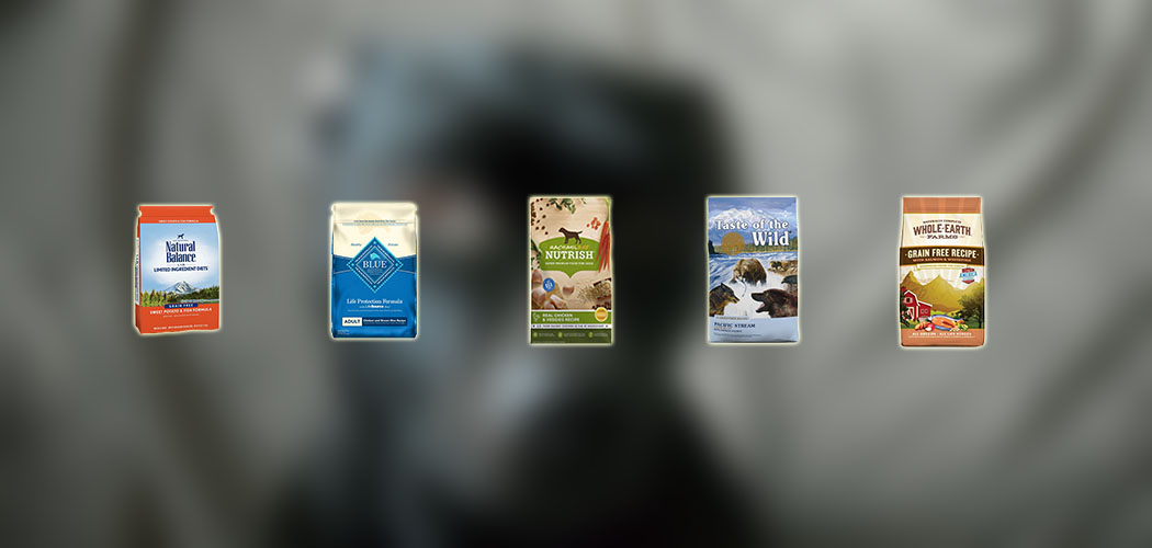 Curated visual reference: Best Dog Food For Hypothyroidism 2022 Top Hypothyroidism Dogs Food Photo Inspiration