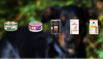 Best Dog Food for Kidney Disease (Failure)