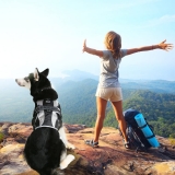 Best Escape Proof Dog Harness