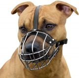 Best Dog Muzzle