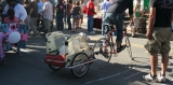 Best Dog Bike Trailer