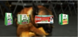 Best Dog Dental Chews