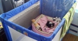 Best Dog Playpen