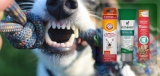 Best Dog Toothpaste