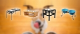 Best Elevated Dog Bowls
