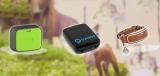 Best GPS Dog Tracker