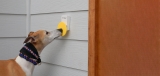 Best Dog Doorbell