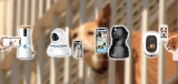 Best Dog Monitor Cameras