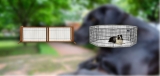 Best Dog Gate