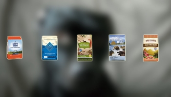 Best Dog Food for Hypothyroidism